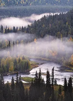 Scenic landscape view with morning fog and fall colors at moody day in Kuusamo, Finland
