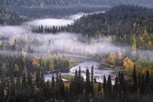 Scenic landscape view with morning fog and fall colors at moody day in Kuusamo, Finland