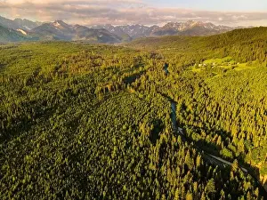 Tatra Prints: Scenic Landscape View at Sunrise in Tatra Mountains in Poland