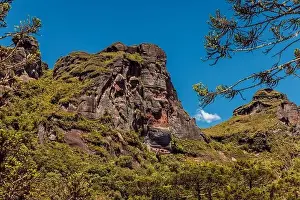 Santa Catarina Prints: Scenic Morro dos Cabritos canyon with araucaria trees and rocks in Santa Catarina, Brazil