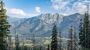 Images Dated 21st July 2018: Scenic panorama mountain landscape with evening light and trees at summertime in Zakopane, Poland