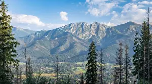 Zakopane Prints: Scenic panorama mountain landscape with evening light and trees at summertime in Zakopane