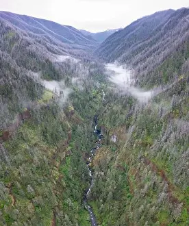 A scenic river flows through a slot canyon and into the Columbia River Gorge, Oregon. This beautiful area is known for its waterfalls and forests