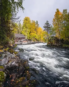 Scenic river landscape with beautiful fall colors at autumn day in National park, Finland