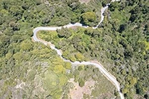 Aerial Landscape Collection: A scenic road meanders through the vegetation-covered hills of the East Bay