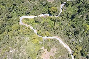 A scenic road meanders through the vegetation-covered hills of the East Bay, just a few miles from San Francisco Bay in Northern California