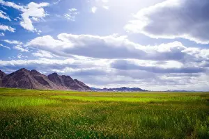 Xinjiang Prints: A scenic shot of a field with mountain peak in Xinjiang, China