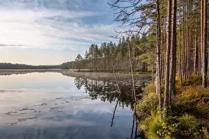 Scenic sunrise landscape with lake and woodland at peaceful summer morning in Finland