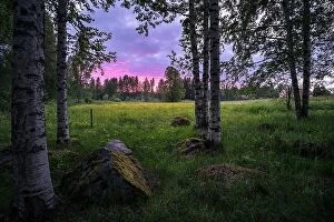 Images Dated 23rd June 2017: Scenic sunset landscape with birch trees and meadow at summer night in Finland