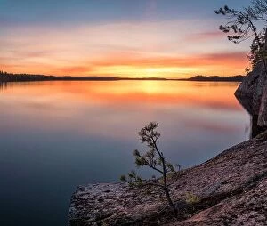 Images Dated 7th May 2016: Scenic sunset landscape with peaceful lake and tree at summer evening in Finland