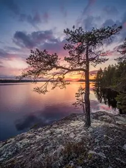 Scenic sunset landscape with peaceful lake and tree at summer evening in Finland