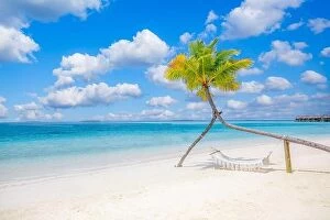 Images Dated 1st November 2019: Scenic tropical beach as summer landscape with beach swing or hammock hanging on palm tree over