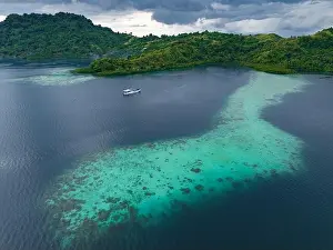 A scenic tropical island is fringed by a healthy coral reef in the Solomon Islands. This beautiful country is home to spectacular marine biodiversity