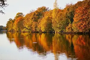 Scenic view of autumn forest and river Vienne near medieval castle of Les Ormes, France