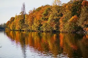 Scenic view of autumn forest and river Vienne near medieval castle of Les Ormes, France