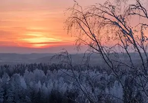 Moment Of Silence Prints: Scenic view with beautiful sunset and frosty tree at winter evening in Finland