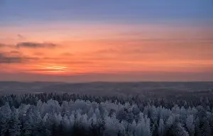 Scenic view with beautiful sunset and frosty tree at winter evening in Finland