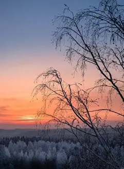 Scenic view with beautiful sunset and frosty tree at winter evening in Finland