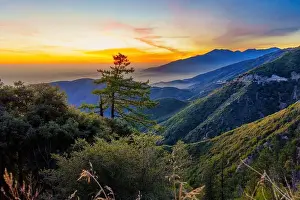 Backcountry Prints: Scenic view features lush green hills