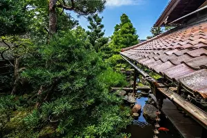 Scenic view of the lush green garden of Nomura Samurai house (Nomura-ke) in Kanazawa, Japan