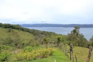 Rica Prints: a Scenic view of lush green trees growing on hilly terrain against cloudy sky with lake arenal in costa rica