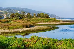 Malibu Prints: Scenic view of Malibu Lagoon with lush vegetation and mountains in background
