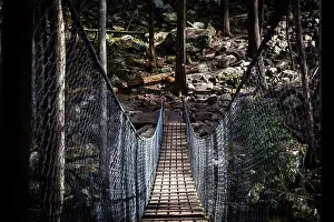 Treetops Prints: A scenic view of an old hanging bridge in the woods at Foster Falls