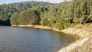 Water Resources Prints: Scenic view of the rio da mula dam surrounded by lush green forest