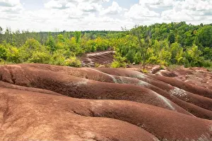 Natural Wonder Prints: Scenic View of Rolling Badlands Amid Lush Green Forest