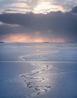 Gulf Of Finland Prints: Scenic winter landscape with frosty sea and sunset at evening in Helsinki, Finland