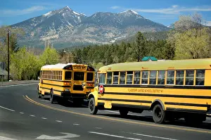 Volcanic Prints: Schoolbuses along the road near the San Francisco Peaks a volcanic mountain range and landmark in Flagstaff Arizona