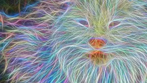 Glow Prints: Schrodinger's cat experiment illustration made from photo digitally modified