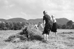 Boys Prints: Schüler des Kolonial Schülerheims Harzburg bei der Arbeit