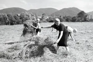 Boys Prints: Schüler des Kolonial Schülerheims Harzburg bei der Arbeit