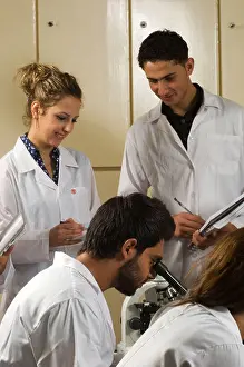 Occupations Prints: Scientists working inside lab