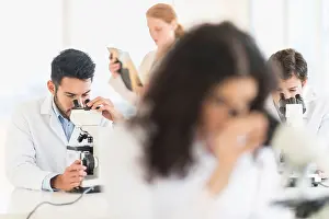 Latina Prints: Scientists working in laboratory