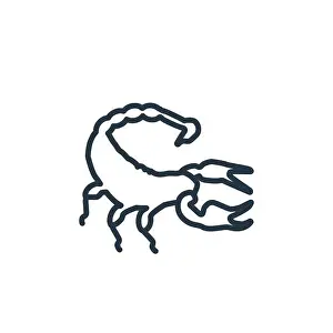 Arachnid Prints: Scorpion outline vector icon. Thin line black scorpion icon