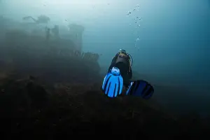 Shipwreck Prints: A scuba diver with blue fins investigates an eerie