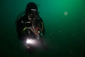 Scuba Diver Prints: Scuba diver encounter with octopus