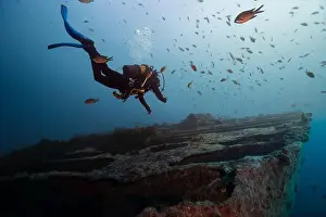 Shipwreck Prints: A scuba diver glides over an ancient shipwreck teeming with marine life