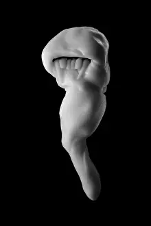 Mutation Prints: Sculpture with long teeth