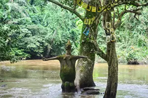 Nigeria Prints: Sculpture and trees in the river at the Osun Sacred Grove