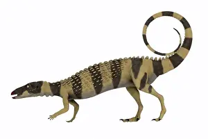 Armored Prints: Scutellosaurus was an armored herbivorous dinosaur that lived in Arizona
