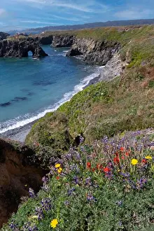 Cove Prints: Sea arch in Mendocino Headlands State Park, Mendocino, California