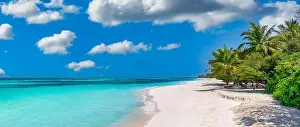 Sea beach aerial. Luxury summer travel vacation landscape