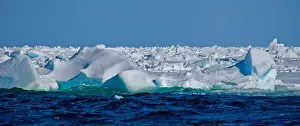 North Pole Prints: Sea Ice, Edge of Pack Ice 80º N, Arctic, Norway, Europe