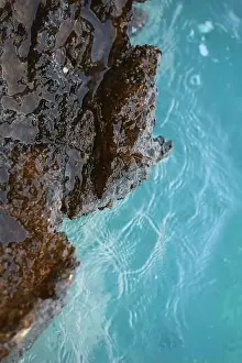 Marbling Prints: Sea rocks abstracts close up modern background high quality big size prints