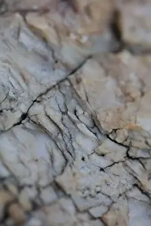 Marbling Prints: Sea rocks abstracts close up modern background high quality big size prints