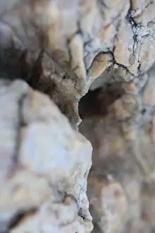 Marbling Prints: Sea rocks abstracts close up modern background high quality big size prints