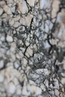 Marbling Prints: Sea rocks abstracts close up modern background high quality big size prints